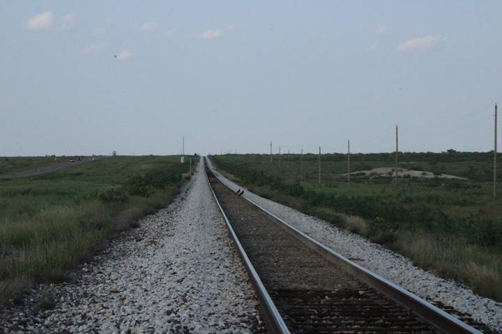 Frame 2: two birds readable