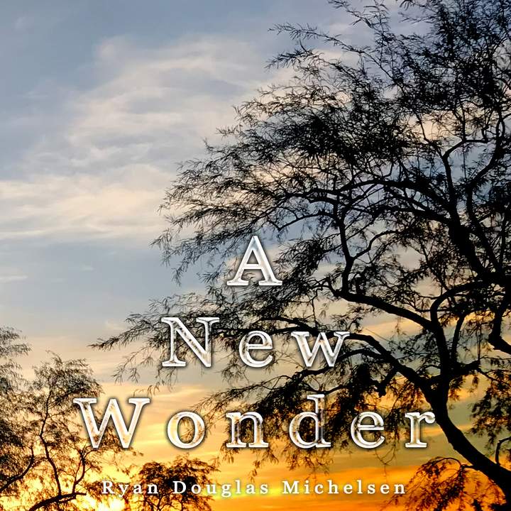 A New Wonder cover with silhouetted tree branches against a warm sky