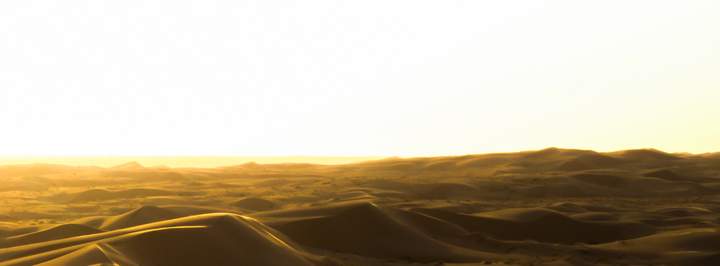 Open desert sand and distant horizon under a bright sky